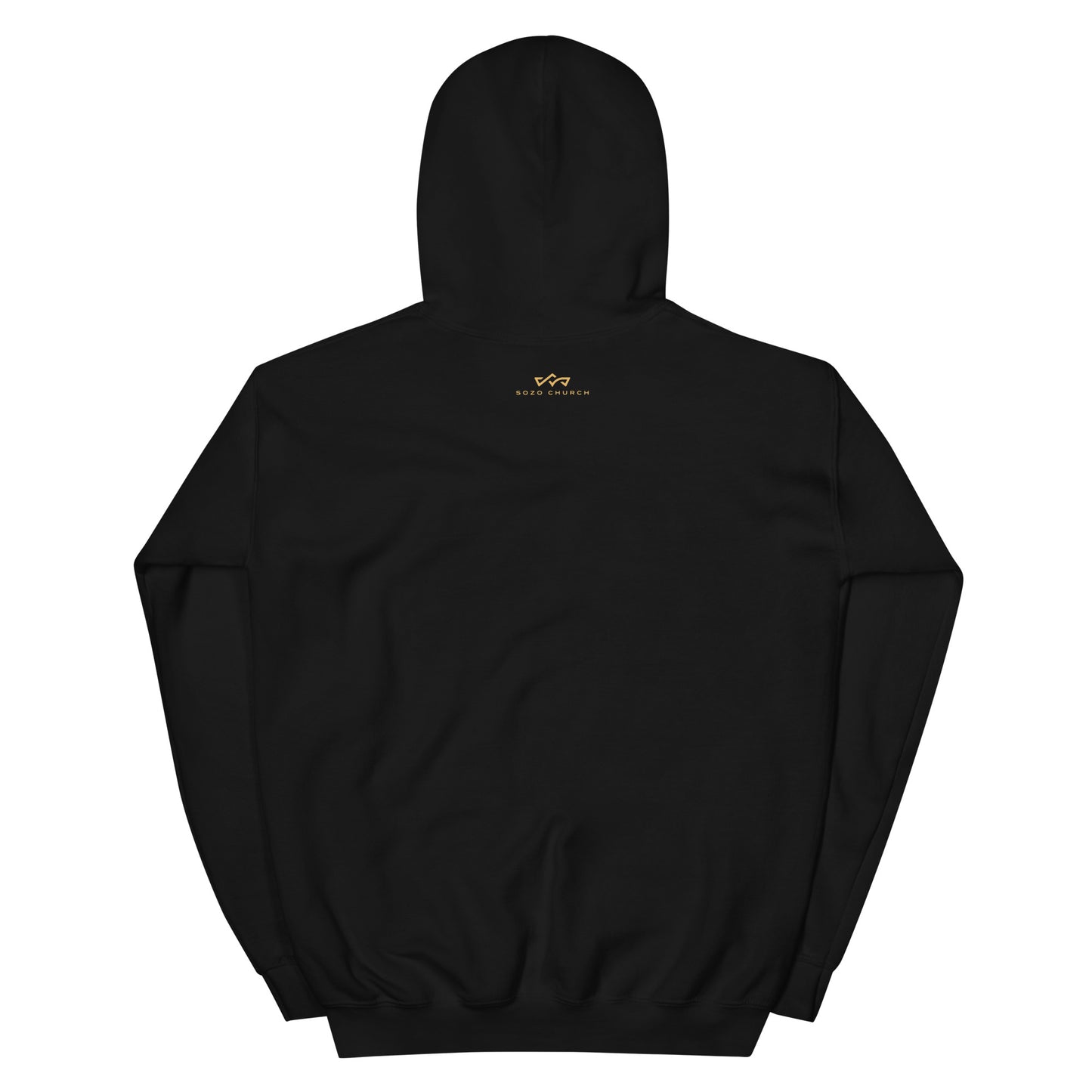 Salt + Light Black and Gold Hoodie